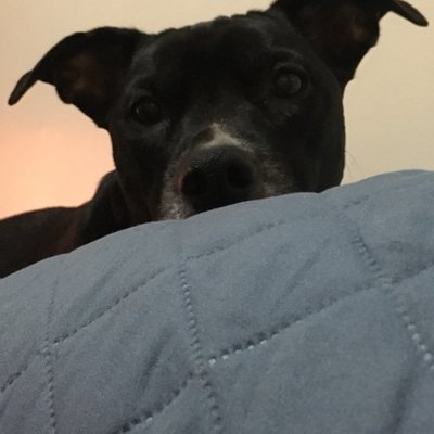 Profile Picture of Jean Stack (@Jeanstack5) on Twitter