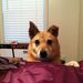 Profile Picture of Kari Hopper (@karihopper) on Pinterest
