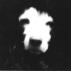 Profile Picture of Kelly Binderim (@kellygarland) on Myspace