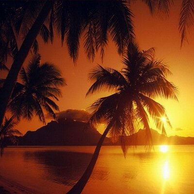 Ali Durmaz - Twitter Profile Picture of Ali Durmaz (@alidurmaz12345) on Twitter