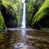 Profile Picture of Jason Shi (@jason-shi-82) on Quora