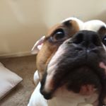 Profile Picture of Chase Martin Grogan (@chasegrogan) on Instagram