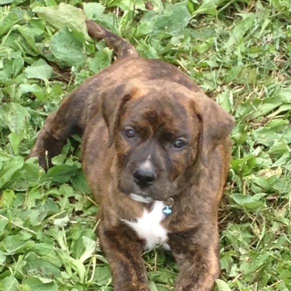 Profile Picture of Keri Hedrich (@pitrotti) on Poshmark