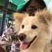 Profile Picture of Preethi Kumaran (@thenujayaraman) on Pinterest