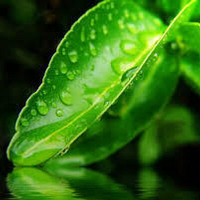 Profile Picture of Jesse Therrien (@bibounet226) on Twitter