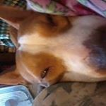 Profile Picture of Nancy Bowen (@nbowen227) on Instagram