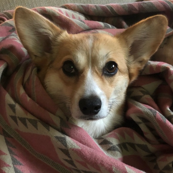 Profile Picture of Brian Cherry (@arkansas5656) on Poshmark