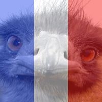 Profile Picture of Peter Windsor (@peter-windsor-5) on Quora