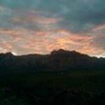 Profile Picture of Mark Bergtholdt (@quercusd) on Instagram