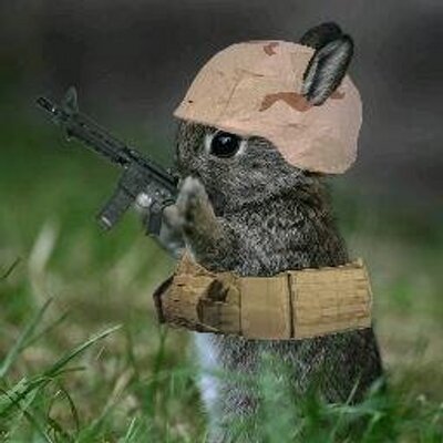 Profile Picture of Sean Willhite (@SeanWillhite1) on Twitter