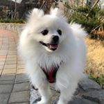 Profile Picture of 이 토리 (@to_lee_2) on Instagram