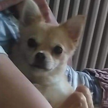 GUILLEMINAULT - Twitter Profile Picture of GUILLEMINAULT (@GUILLEMINAULT4) on Twitter