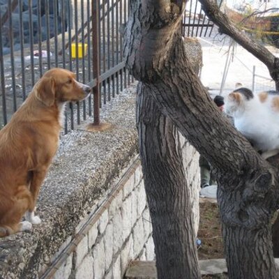 Profile Picture of Winnie Feng (@winnief_wintec) on Twitter