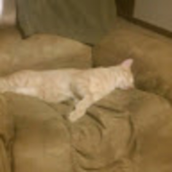 Profile Picture of Chris Sticha (@chrissticha) on Poshmark