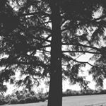 Profile Picture of Dayna Robbins (@daynarobbins9) on Instagram