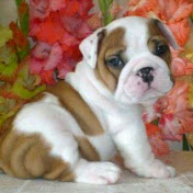 Profile Picture of Keith Garrett (@keithgarrett7507) on Youtube