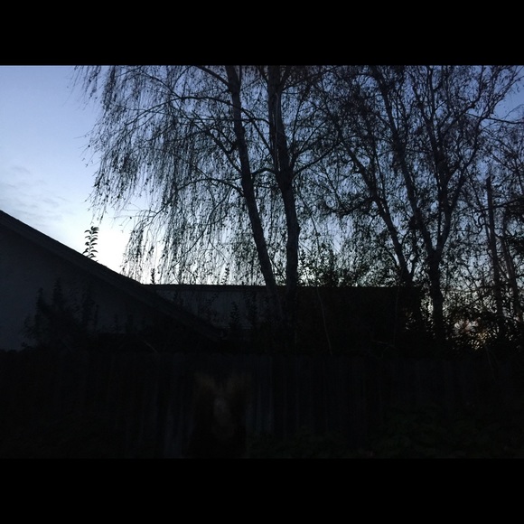 Profile Picture of Madison Rohme (@bellajammer24) on Poshmark