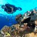 Profile Picture of Zachary Jacobs (@findit1) on Pinterest