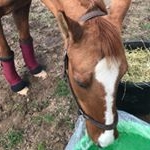 Profile Picture of m a r i b e t h (@maribethhebert) on Instagram