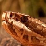 Profile Picture of Scott Wade (@scottwade130) on Instagram