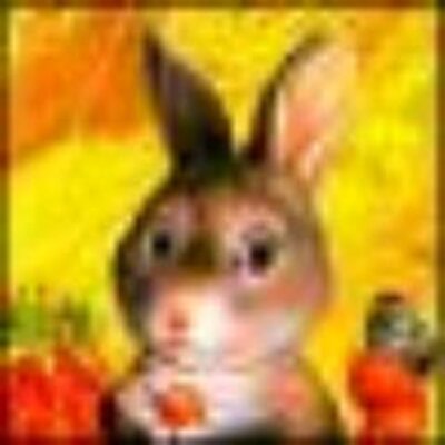 Profile Picture of Andy Moorman (@AndyMoorman1) on Twitter