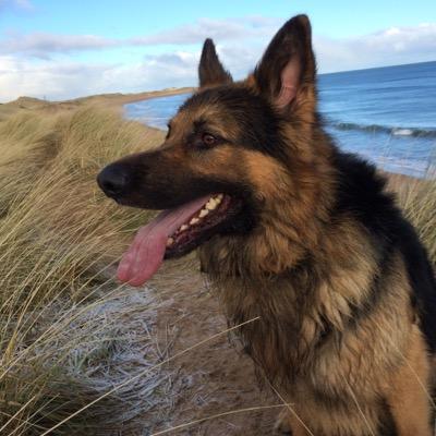 Profile Picture of Jim Duthie (@DuthieJim) on Twitter