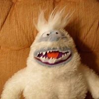 Profile Picture of Jody Walter (@jody-walter) on Quora