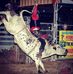 Profile Picture of Cody Mcculley (@xSCRAPSx) on Facebook