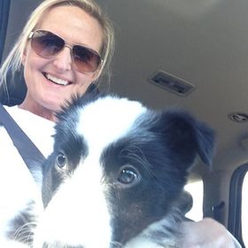 Profile Picture of Tammy Ford (@tamford44) on Pinterest