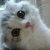 Profile Picture of Meredith Pepper (@meredith.pepper.9) on Facebook