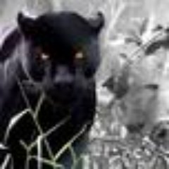 Profile Picture of Robert Prewitt (@Anemarius) on Twitter