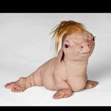 Profile Picture of Leo Hunt (@Fenqov) on Twitter