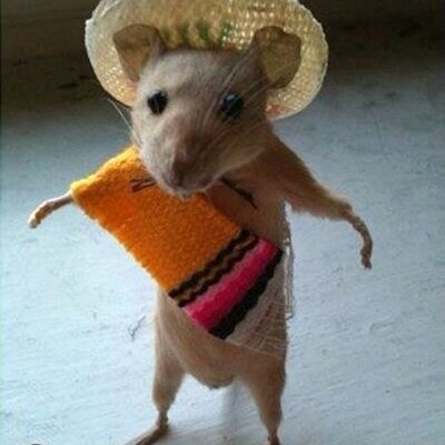 Christopher Quam - Twitter Profile Picture of Christopher Quam (@TheQuamunist) on Twitter