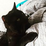 Profile Picture of Christopher Zavala (@christwix13) on Instagram