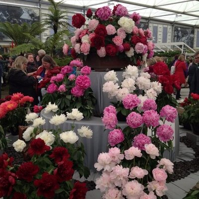 Profile Picture of Tracy Nathan (@tracywilltravel) on Twitter