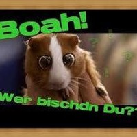 Profile Picture of Steve Grothe (@steve-grothe-3) on Quora