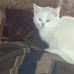 Profile Picture of Hasta Adam (@hasta.adam.927) on Facebook