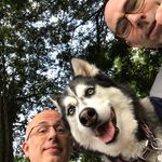 Profile Picture of John Perrone (@perrone9206) on Instagram