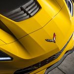 Profile Picture of Steven (@steven.ganoe) on Instagram