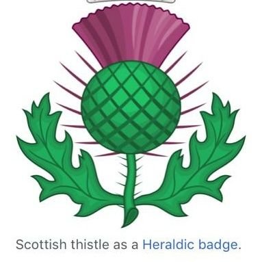 Profile Picture of Alexander McGowan (@AlexanderMcGo11) on Twitter