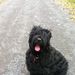 Profile Picture of Debbie Orme-Rego (@debbieormerego) on Pinterest