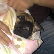 Alex Tarr - Youtube Profile Picture of Alex Tarr (@alextarr2044) on Youtube