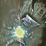 Profile Picture of Andrew Gammon (@gamm88) on Instagram