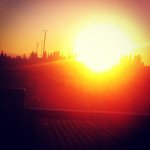 Profile Picture of Joseph Murtagh (@gatorackwo) on Instagram