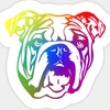 Profile Picture of Bradshaw bulldogs (@@bradshaw_bulldogs) on Tiktok