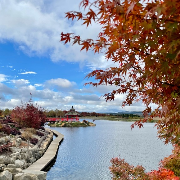 Qi Xu - Poshmark Profile Picture of Qi Xu (@eeyorelala) on Poshmark