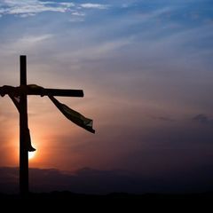 Profile Picture of joeysylvester928 (@joeysylvester928) on Tiktok