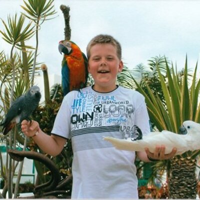 Profile Picture of David Nemec (@NemecDavid) on Twitter