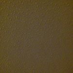 Profile Picture of cedricglover (@cedricglover5619) on Instagram