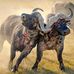 Profile Picture of John Wamback (@john.wamback.73) on Facebook